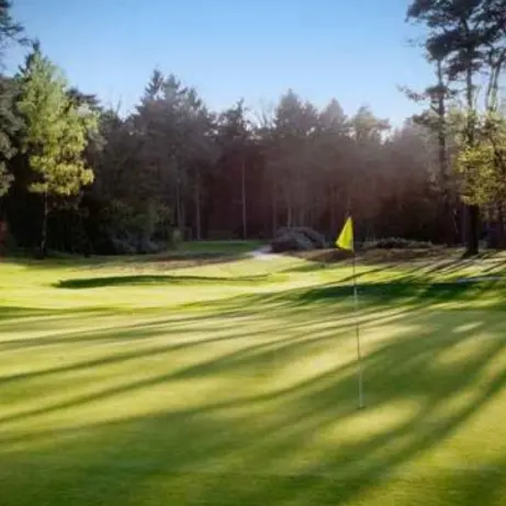 Green van een golfbaan met gele vlag tussen hoge bomen
