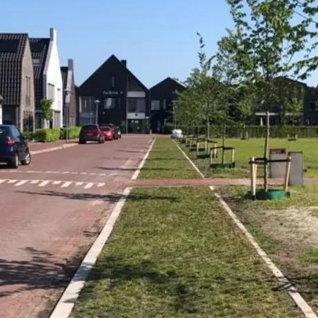 Nieuwe woonwijk met jonge bomen in een grasstrook langs een klinkerweg
