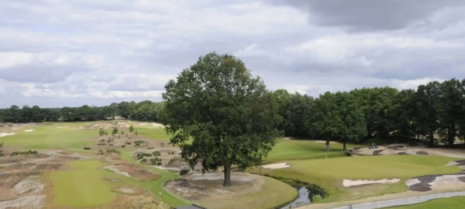 Golfbaan met zandbunkers en een grote solitaire eik onder een bewolkte lucht