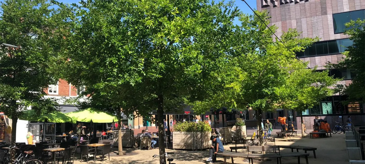 Schaduwrijk plein met grote bomen, een terras met groene parasol en bankjes