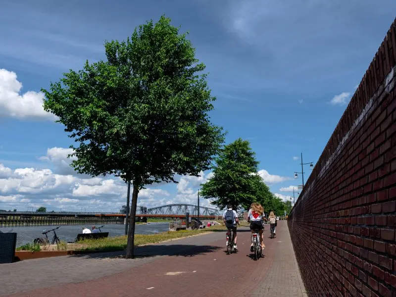 Fietsers op een pad langs een rivier met bomen en bakstenen muur