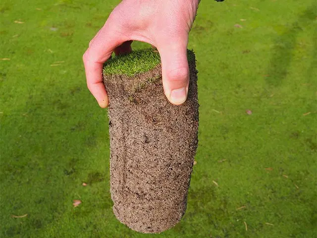 Hand houdt een grondboorkern met graszode boven een golfgreen