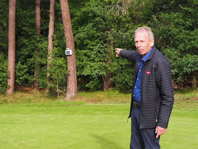 Man wijst over een golfgreen met naaldbomen op de achtergrond