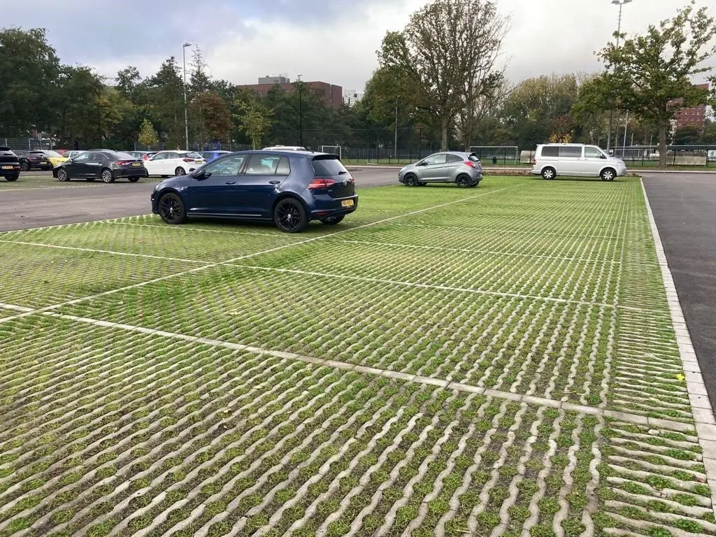 Parkeervakken van grasklinkers met gras en geparkeerde auto's in de herfst