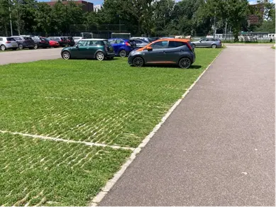 Dichtgegroeid grasparkeerveld in de zomer met auto's aan de rand