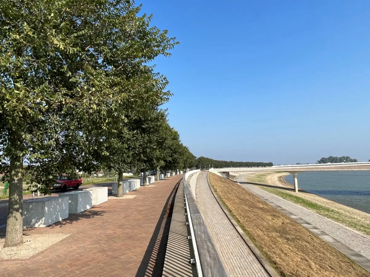Rij jonge bomen langs een brede kade met betonnen zitranden