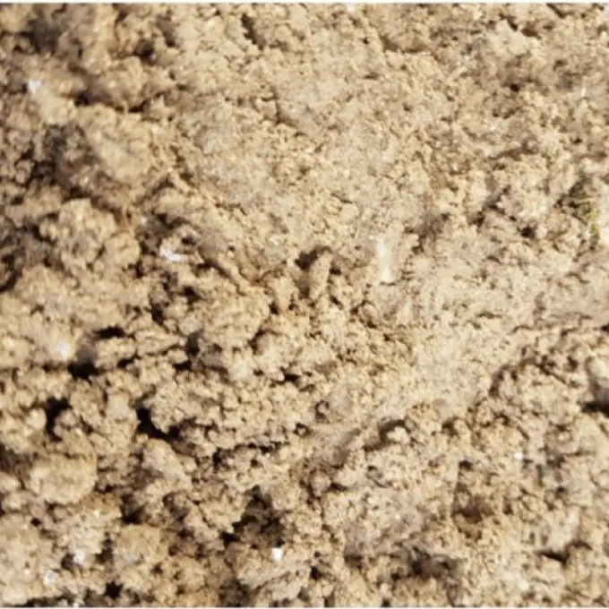 Fijnkorrelig lichtbeige zand met kleine kluitjes van dichtbij