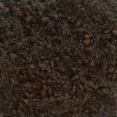 Donkerbruine daktuingrond met roodbruine korrels tussen fijn zand